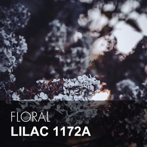 LILAC / 라일락 1172A